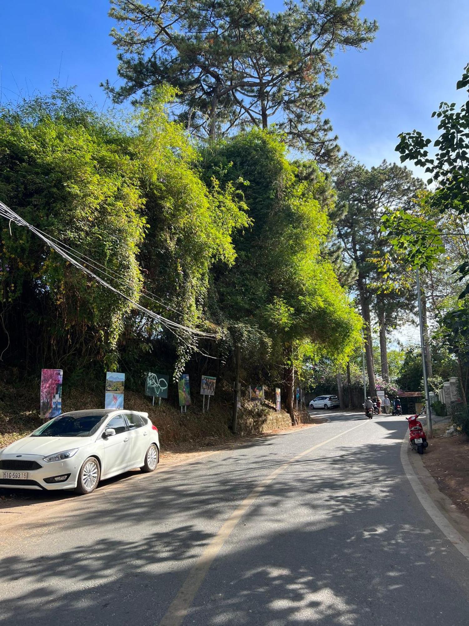 Nature Hotel - Dalat 3 Exterior photo
